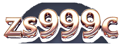 zs999c logo